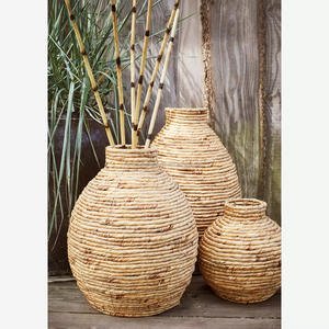 Tendance chaude décor à la maison article en gros jacinthe d'eau vase nordique grand et grand vase à fleurs dessus de table - Product Image 5