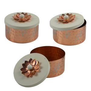 Luxury Metal Spice Storage <b>Box</b> with Decorative Lid Kitchen Masala Organizer Container for <b>Herbs</b> Seasoning Cooking - Product Image 6