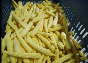 Baby Corn in Brine Peeled Whole Canned Vegetables in Can Tinned Salty Flavor Room Temperature Storage - Product Image 5