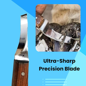 Outils de toilettage pour chevaux, lames en acier inoxydable, instruments vétérinaires, couteaux à sabots, produit le plus vendu, couteau à sabots à faible MOQ - Product Image 5