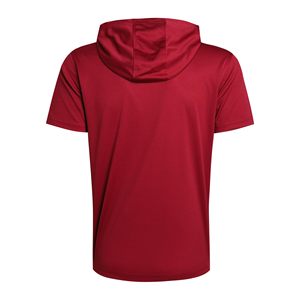 Sudadera con capucha extragrande de malla transparente con cremallera para hombre, estampado digital de verano, 100% poliéster, sexy, transparente, venta al por mayor - Product Image 2