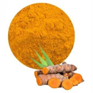 Produit le plus vendu : Poudre de curcuma pure et naturelle, extrait de plantes en poudre, au prix de gros auprès de fournisseurs indiens - Product Image 2