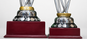 Stainless Steel Sports <b>Trophy</b> <b>Cup</b> Customized Achievement Award Display Durable Premium Quality - Product Image 3