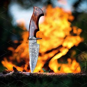 Couteau de chasse multifonctionnel à lame fixe en acier Damas de haute qualité, manche en bois Pakka, pointe tombante, pour le bricolage et le bushcraft - Product Image 6