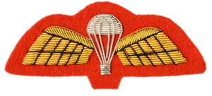 Premium Handcrafted Bullion <b>Wire</b> Heritage Crests Badges - Professional Gold <b>Wire</b> Badges for Corporate and Security Apparel - Product Image 2