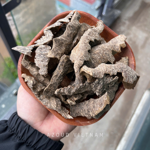 AZ Oud Vietnam 100% Natural Premium Agarwood Oud Wood Chips (Ant-Infected Aquilaria Crassna) Grade 3A+ High Resin Content Sweet - Product Image 6