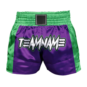 Pantalones cortos de Muay Thai, ligeros, transpirables, de tela satinada, con logo personalizado, cintura elástica, para entrenamiento, gimnasio, para hombres y mujeres, fitness. - Product Image 1