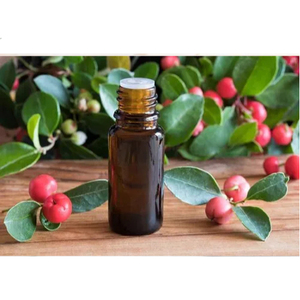 Aceite Esencial de Wintergreen 100% Puro, Natural y Orgánico, Venta al Por Mayor para Aromaterapia - Product Image 2