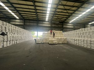 Urea de Grado Técnico para la Producción de AdBlue, Fabricada en Vietnam, Color Blanco, Bajo Contenido de Biureto, Bolsa de 50 kg, Bolsa de 1000 kg - Product Image 5