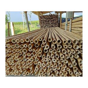 Piquets en bambou écologique de qualité supérieure, prix de gros abordable, poteaux droits robustes et durables, approvisionnement en vrac direct usine - Product Image 6