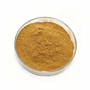 Extracto de Raíz de Ashwagandha Premium 10:1, Extracto Herbal en Polvo de Alta Potencia con Withanólidos para el Bienestar Diario, Energía y Alivio del Estrés - Product Image 1