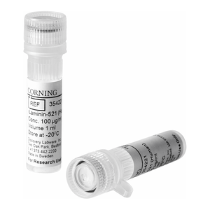 Protéine humaine recombinante Corning RLaminin-521 pour culture cellulaire PSC - Product Image 1