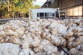 Latex de caoutchouc naturel 100% de haute qualité fabriqué au Vietnam pour divers produits en caoutchouc - Product Image 4