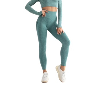 Womens Seamless Yoga Leggings High Waist <b>Stretch</b> Gym Fitness Workout Pants Slim Fit Activewear Quick Dry Breathable - Product Image 1