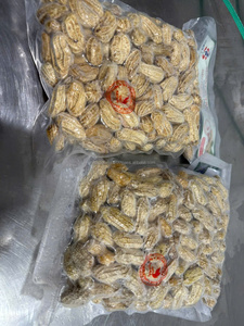 Số lượng lớn đậu phộng luộc đông lạnh trong vỏ từ Việt Nam cho siêu thị và nhà hàng sử dụng sản xuất thực phẩm & Bán Lẻ - Product Image 6