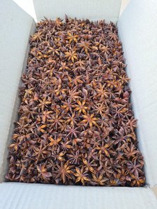 Anís estrellado vietnamita premium de gran tamaño y alto contenido de aceite - Product Image 6