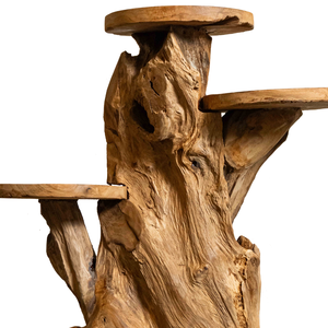 ARTERRA Support de présentation en bois massif artisanal rustique en racine de teck biologique de qualité supérieure pour la décoration intérieure/extérieure - Product Image 2