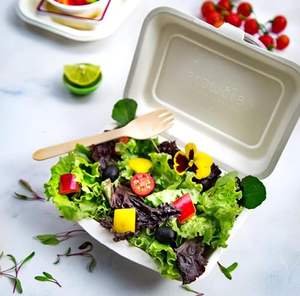 Dernier modèle de récipient à emporter 9x6 pouces jetable pour aliments et salades recyclés Forme bagasse canne à sucre carrée avec ou avec couvercle - Product Image 4