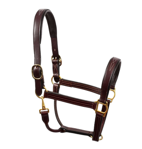 ZUMA ENTERPRISES Harnais en cuir marron pour cheval, collier réglable rembourré, quincaillerie en laiton massif, accessoires d'équitation et d'entraînement, modèle - Product Image 1