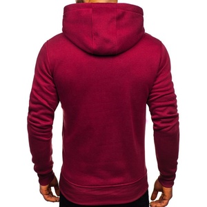 Logo personnalisé couverture à capuche streetwear polaire sweats à capuche unis vêtements pour hommes unisexe sweats à capuche vierges pour hommes tissus premium - Product Image 5