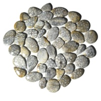 Pierres de Corail Naturelles de Haute Qualité KHUSHI GEMS STONE pour la Fabrication de Bijoux, Formes Mixtes 20-45mm, 8-12g, Certifiées par un Certificat Tierce Partie