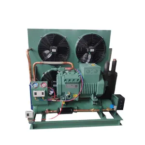 Unidad de condensación de tipo abierto, tipo de refrigeración, compresor de agua fría, congelador, unidad de condensación