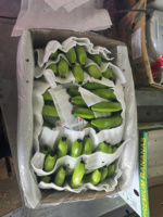 Verse Cavendish Banaan Vietnam Export Kwaliteit Premium Zoete Smaak Concurrerende Prijs Bulkaanbod