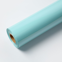 SHENGSHENG Tasarım Renkli PET Pigment Folyo Transfer PVC Sıcak Baskı Folyo Rulosu Metalik Plastik Uygulamaları için