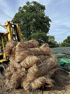 ไม้หวายธรรมชาติเวียดนาม คุณภาพพรีเมียม ขัดเงา ขายส่งจำนวนมาก สำหรับผู้ซื้อทั่วโลก - Product Image 4