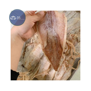 Disponible : Feuilles de calamar séchées de qualité export, pressées et aplaties, calamar rôti, en vrac - Product Image 1