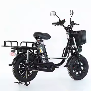 Bicicleta Eléctrica de Reparto 1000W 800W para Adultos, Motocicleta Eléctrica Rápida, ¡Oferta Caliente! - Product Image 2