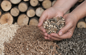 Granulés de bois, combustible biomasse, granulés de bambou pour le chauffage - Product Image 2