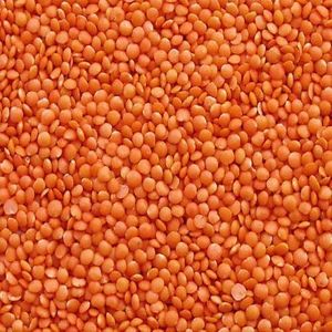 Lentejas Rojas Premium Pulimentadas al por Mayor con 24 Meses de Vida Útil para Cocinar - Product Image 2