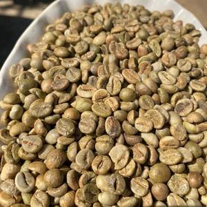 Approvisionnement direct Vietnam Grains de café vert Robusta et Arabica Qualité AA+ Taille 16 Pur Naturel Export en vrac Sacs PP de 60 kg pour Espresso - Product Image 2