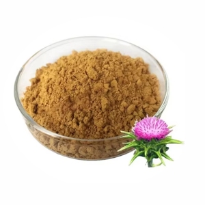 Polvo de Cardo Mariano 100% Puro, Grado Alimenticio, Proveedor a Granel, Apoya el Control de Peso Saludable y la Dieta Equilibrada - Product Image 6