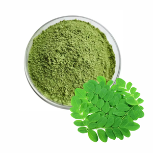 Fournisseur en gros de poudre de feuilles de Moringa naturelle de qualité supérieure, poudre pure de feuilles de Moringa Oleifera, fournisseur en gros d'Inde au meilleur prix - Product Image 1