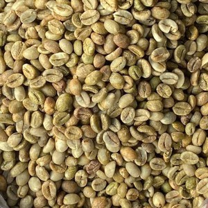 Direct Factory <b>Robusta</b> Green <b>Coffee</b> <b>Beans</b> for <b>Coffee</b> Factory Wet polished Process Size 18 Vietnam Highland Export - Product Image 5