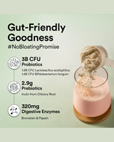 Poudre de protéines végétales véganes aux baies mélangées du Canada pour la récupération musculaire, faible en sucre, enzymes digestives et super-aliments