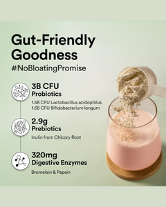 Proteína Vegetal Orgánica Vegana en Polvo, Sabor a Bayas Mixtas Canadienses, para la Recuperación Muscular, Baja en Azúcar, con Enzimas Digestivas y Superalimentos - Product Image 3