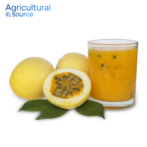 Fruit de la passion de qualité supérieure-Goût exotique jaune juteux riche en vitamine C-Fruit de la passion stimule la digestion-De l'usine VietNam - Product Image 3