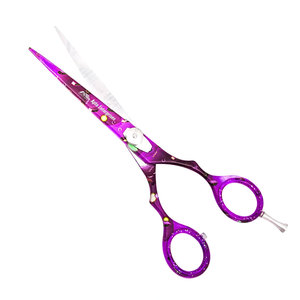 Ciseaux à effiler professionnels de 6 pouces en acier inoxydable pour coiffeur, ciseaux de coiffure pour salon de beauté - Product Image 1
