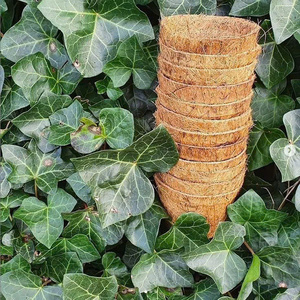 Fibra de Piña Natural Tejida: Opción Sostenible para Industrias Ecológicas - Product Image 3