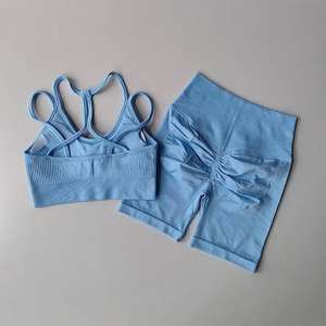 Conjunto Deportivo Seamless para Mujer, Fabricante de Sujetadores Deportivos y Pantalones Cortos Scrunch, OEM, Marca Privada, Venta al Por Mayor - Product Image 5