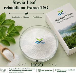 Suministro directo de fábrica de HGO, extracto de hoja de Stevia natural rebaudiana (grado alimenticio), especificación TSG 90%-95% (extracto estandarizado) - Product Image 1