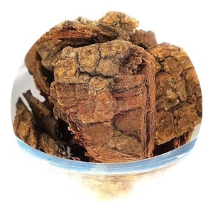 Poudre d'écorce de Mimusops elengi, Bakul Chaal ayurvédique d'Inde - Patil Foods - Product Image 1