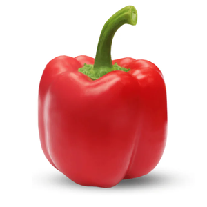 Approvisionnement en gros de poivrons rouges pour cuisines commerciales, fabricants et distributeurs d'aliments - Product Image 2