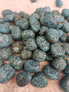 Piedra de jaspe dalmático azul pulida con patrones de manchas distintivos, superficie lisa y forma redondeada para uso mineral. - Product Image 1