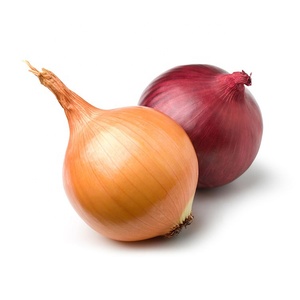 新物赤玉ねぎ・黄玉ねぎ　新鮮野菜　玉ねぎ卸売　新鮮玉ねぎ　高品質　中国産新鮮赤玉ねぎ価格 - Product Image 1