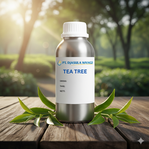 Huile Essentielle d'Arbre à Thé de Haute Qualité, Fraîche, Biologique, Grade Aromatique, 100% Pure, Fournisseur Vérifié, Meilleur Prix, Vrac 1kg - Product Image 4