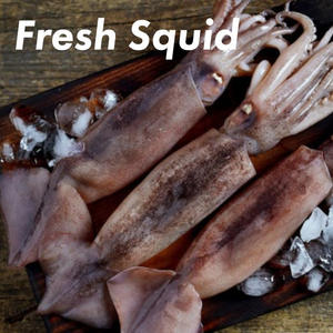 Calamar entier surgelé de qualité supérieure - Product Image 6
